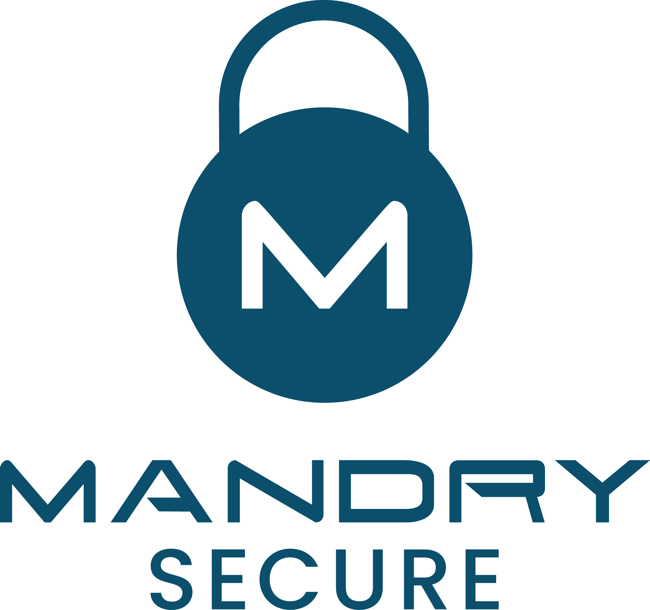 Mandry SECURE Logo